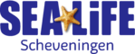 Aob Compaz, Diagnostiek en Advies